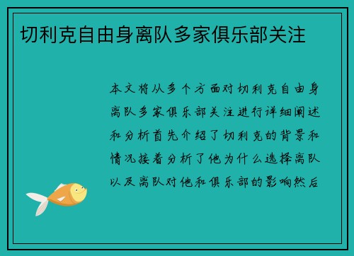 切利克自由身离队多家俱乐部关注